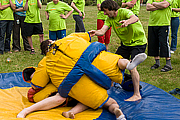 День мебельщика-2008