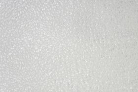 Жаккард, Spesial Polyester: каталог тканей фабрики мягкой мебели 8 Марта