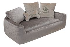  Дарвин 8 марта