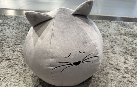 Подушка Котик, № заказа 663803 8 марта