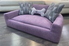 Дарвин, фото 8 марта  Дарвин 8 марта