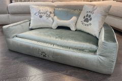 Дарвин, фото 8 марта  Дарвин 8 марта