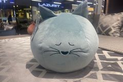  Подушка Котик 8 марта