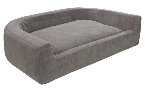  Дарвин, № заказа 671970 8 марта