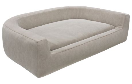  Дарвин, № заказа 671972 8 марта