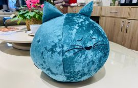 Подушка Котик, № заказа 670778, фото 8 марта Подушка Котик, № заказа 670778 8 марта